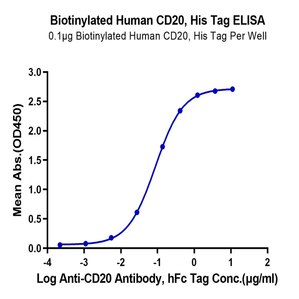 Biotinylated Human CD20/MS4A1 Protein (CD2-HE120B) Biotinylated Human CD20/MS4A1 Protein (CD2-HE120B)