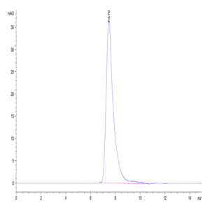 Human CD2/SRBC Protein (CD2-HM102)