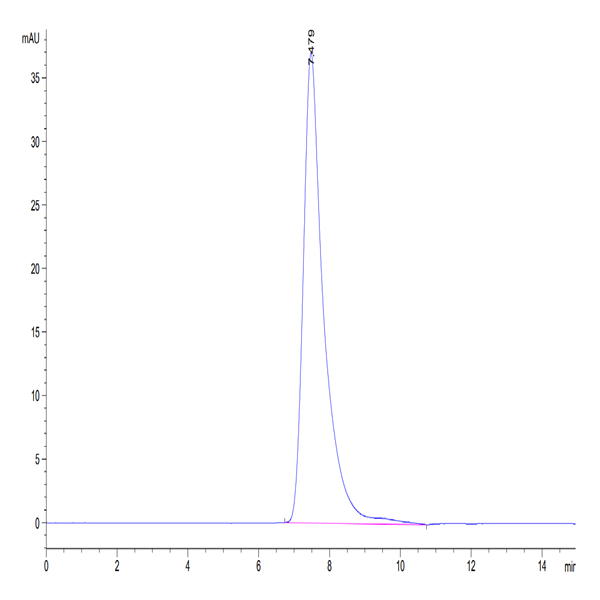 Human CD2/SRBC Protein (CD2-HM102)