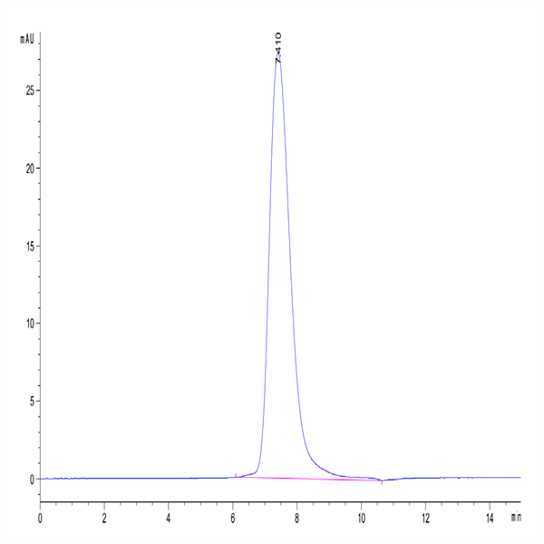 Human CD200/OX-2 Protein (CD2-HM120)
