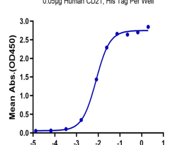Human CD21 Protein (CD2-HM121)