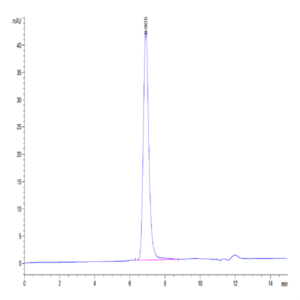 Human CD21 Protein (CD2-HM121)