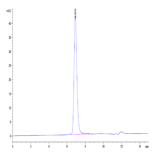 Human CD21 Protein (CD2-HM121)
