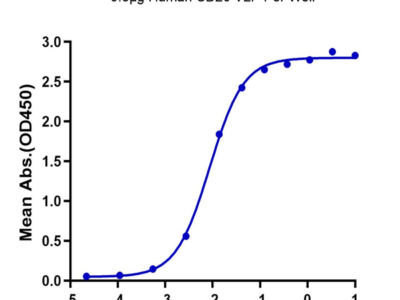 Human CD20 Protein-VLP (CD2-HM122)