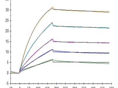 Biotinylated Human CD20 Protein-VLP (CD2-HM122B)