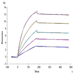 Biotinylated Human CD20 Protein-VLP (CD2-HM122B)