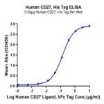 Human CD27/TNFRSF7 Protein (CD2-HM127)