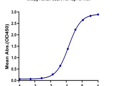 Human CD27/TNFRSF7 Protein (CD2-HM127)