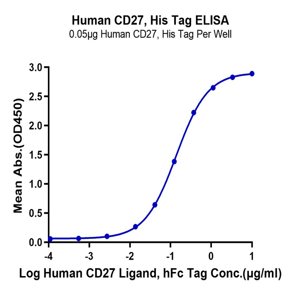 Human CD27/TNFRSF7 Protein (CD2-HM127) Human CD27/TNFRSF7 Protein (CD2-HM127)