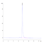 Human CD2/SRBC Protein (CD2-HM202)