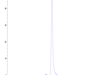 Human CD2/SRBC Protein (CD2-HM202)