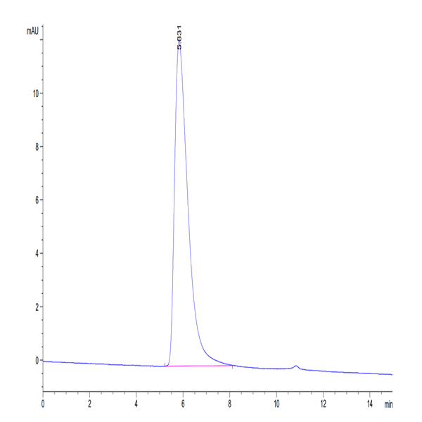 Human CD27/TNFRSF7 Protein (CD2-HM227)