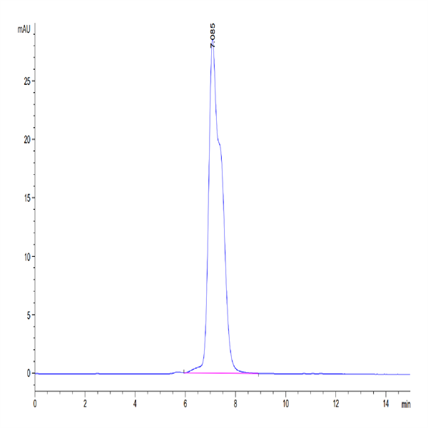 Human CD200 R1/CRTR2 Protein (CD2-HM2R1)