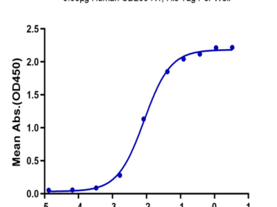 Human CD200 R1/CRTR2 Protein (CD2-HM4R1)