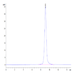 Mouse CD200/OX-2 Protein (CD2-MM120)