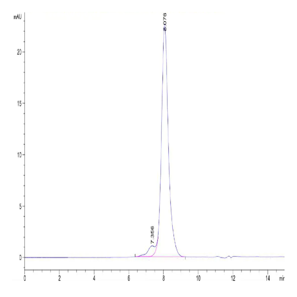 Mouse CD21 Protein (CD2-MM121) Mouse CD21 Protein (CD2-MM121)
