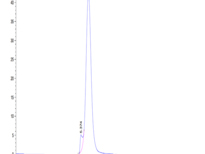 Mouse CD24 Protein (CD2-MM324)