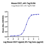 Mouse CD27/NFRSF7 Protein (CD2-MM327)