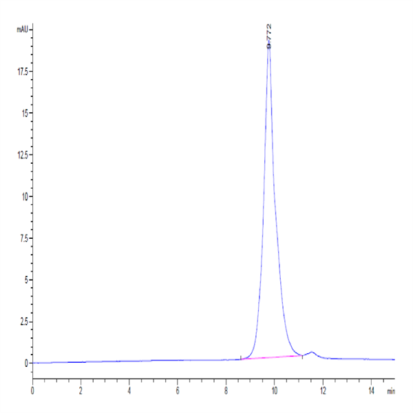Cynomolgus CD3E&CD3D/CD3 epsilon&CD3 delta Protein (CD3-CM101)