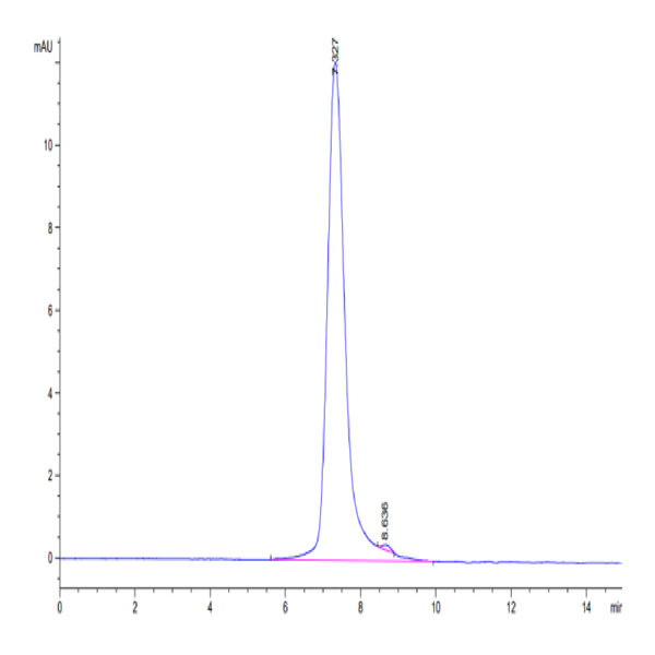 Cynomolgus CD30/TNFRSF8 Protein (CD3-CM130)