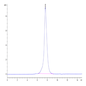 Cynomolgus CD31/PECAM-1 Protein (CD3-CM131)