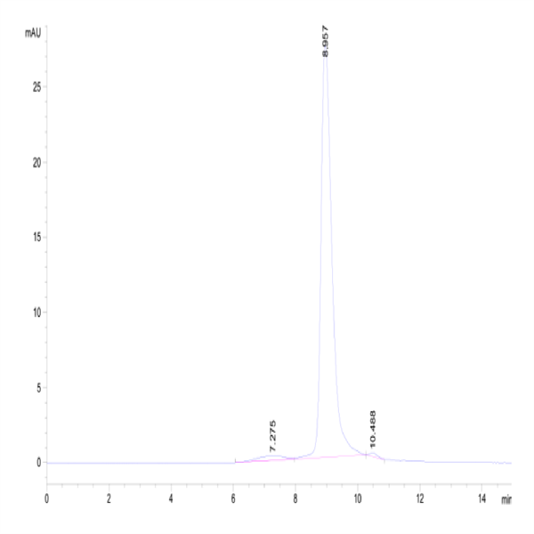 Cynomolgus Siglec-3/CD33 Protein (CD3-CM133) Cynomolgus Siglec-3/CD33 Protein (CD3-CM133)