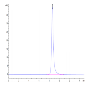 Cynomolgus CD36/SR-B3 Protein (CD3-CM136)