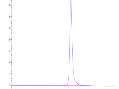 Cynomolgus CD36/SR-B3 Protein (CD3-CM136)