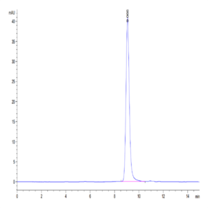 Cynomolgus CD38 Protein (CD3-CM138)