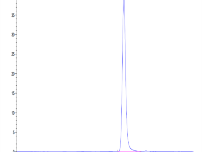 Cynomolgus CD38 Protein (CD3-CM138)