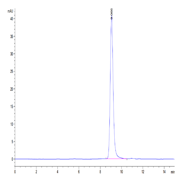 Cynomolgus CD38 Protein (CD3-CM138) Cynomolgus CD38 Protein (CD3-CM138)