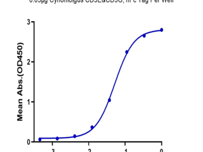 Cynomolgus CD3E&CD3G/CD3 epsilon&CD3 gamma Protein (CD3-CM202)