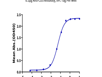 Biotinylated Cynomolgus CD3E&CD3G/CD3 epsilon&CD3 gamma Protein (Primary Amine Labeling) (CD3-CM202B)