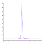 Biotinylated Cynomolgus CD3E&CD3G/CD3 epsilon&CD3 gamma Protein (Primary Amine Labeling) (CD3-CM202B)