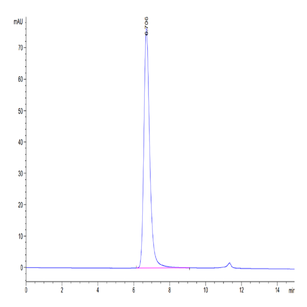 Cynomolgus CD3E/CD3 epsilon 1-27 peptide Protein (CD3-CM2ED)