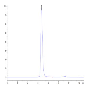Biotinylated Cynomolgus CD3E/CD3 epsilon 1-27 peptide Protein (CD3-CM2EDB)