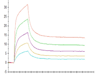 Human CD3E&CD3D/CD3 epsilon&CD3 delta Protein (CD3-HM105)