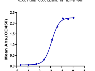 Human CD30 Ligand/TNFSF8 Protein (CD3-HM10L)