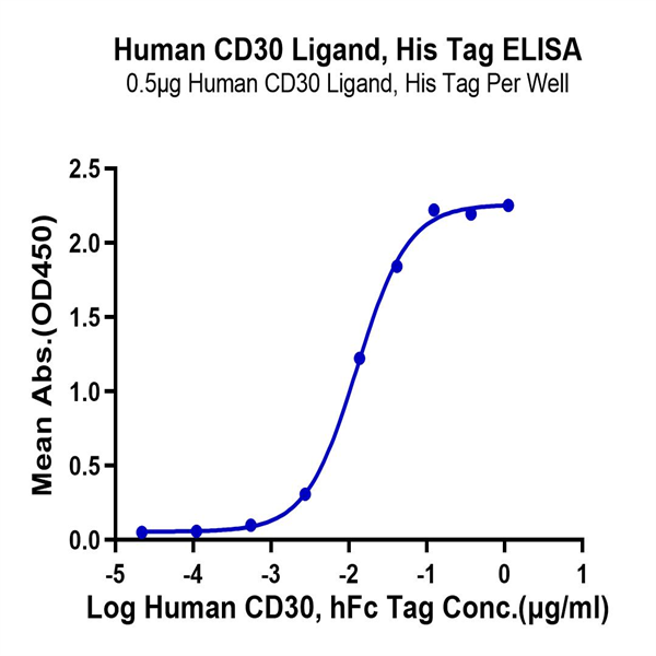 Human CD30 Ligand/TNFSF8 Protein (CD3-HM10L) Human CD30 Ligand/TNFSF8 Protein (CD3-HM10L)