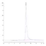 Human CD30 Ligand/TNFSF8 Protein (CD3-HM10L)