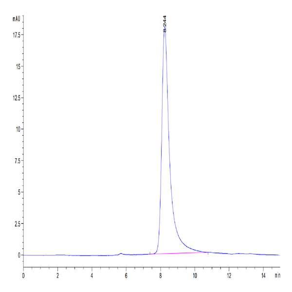 Human CD30 Ligand/TNFSF8 Protein (CD3-HM10L)