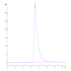 Human CD23/Fc epsilon RII Protein (CD3-HM123)