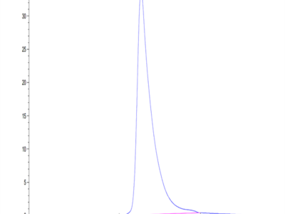 Human CD23/Fc epsilon RII Protein (CD3-HM123)