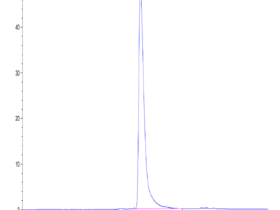 Human CD31/PECAM-1 Protein (CD3-HM131)