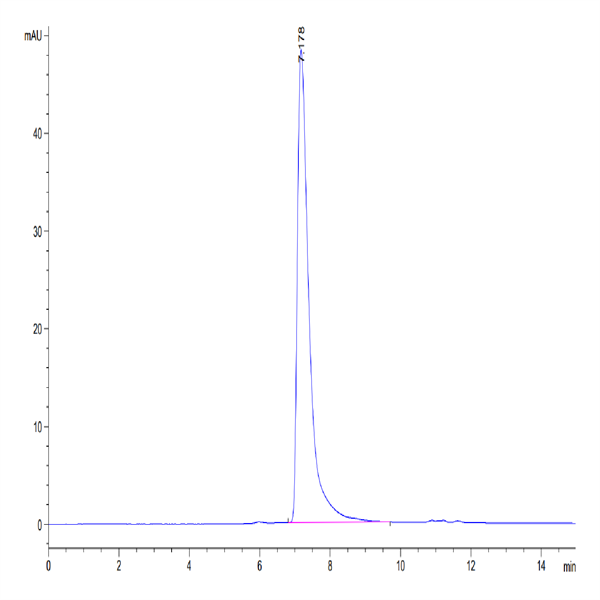 Human CD31/PECAM-1 Protein (CD3-HM131) Human CD31/PECAM-1 Protein (CD3-HM131)