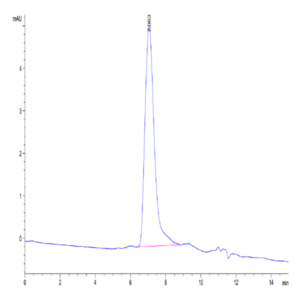 Human CD34 Protein (CD3-HM134)