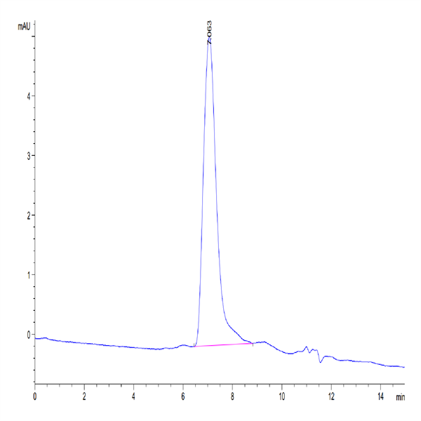 Human CD34 Protein (CD3-HM134)