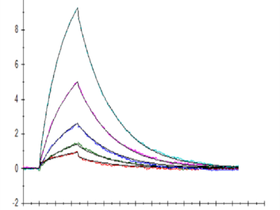 Human CD38 Protein (CD3-HM138)