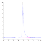 Human CD38 Protein (CD3-HM138)