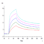 Human CD3E&CD3G/CD3 epsilon&CD3 gamma Protein (CD3-HM157)